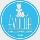 evolur logo