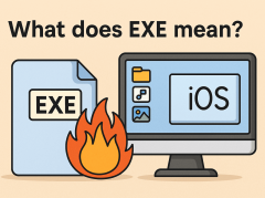 What Does EXE Mean