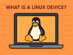 What is a Linux Device
