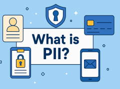 what is pii