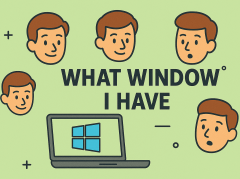 how to know what windows i have