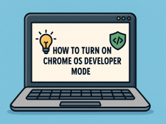how to turn on chrome os developer mode