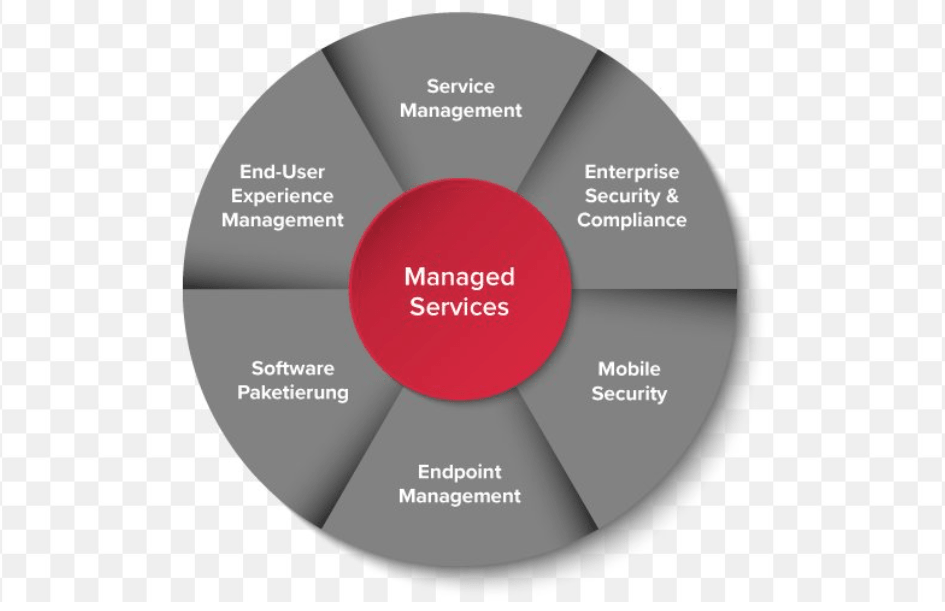 IT Managed Services Software
