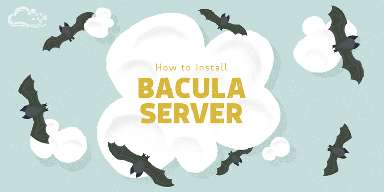 Bacula Backup Server