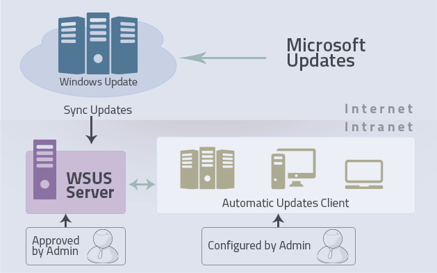 WSUS Patch Management